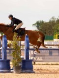 DSC01444 DSC01444