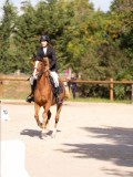 DSC08120 DSC08120