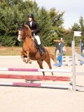 DSC08121 DSC08121
