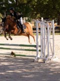 DSC08124 DSC08124