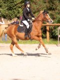 DSC08126 DSC08126