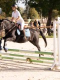 DSC06690 DSC06690