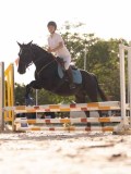 DSC06696 DSC06696