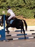 DSC06698 DSC06698