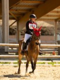 DSC09729 DSC09729
