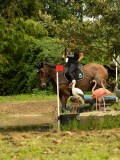 DSC08193