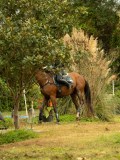 DSC08231