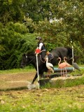 DSC08245