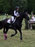 IMG_4037 IMG_4037