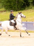 DSC02544 DSC02544