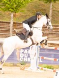 DSC02548 DSC02548