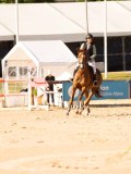 DSC05365 DSC05365