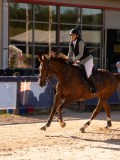 DSC05378 DSC05378
