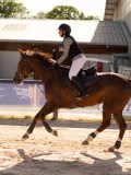 DSC05379 DSC05379