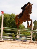 DSC08650 DSC08650