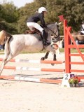 DSC08136 DSC08136