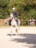 DSC08137 DSC08137