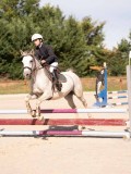 DSC08139 DSC08139