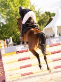 DSC06728 DSC06728