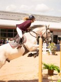 DSC02834 DSC02834