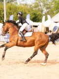 DSC01466 DSC01466