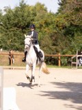 DSC08149 DSC08149