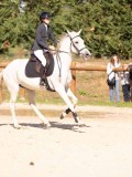 DSC08156 DSC08156