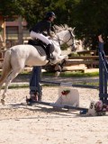 DSC08158 DSC08158