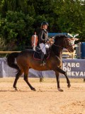 DSC03924 DSC03924