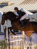 DSC03929 DSC03929