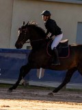 DSC03943 DSC03943