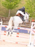 DSC05779 DSC05779