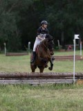 IMG_4042 IMG_4042