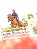 DSC01034 DSC01034