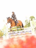 DSC01035 DSC01035