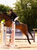 DSC07195