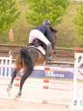 DSC05796 DSC05796