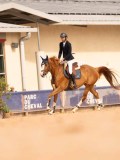 DSC01491 DSC01491