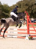 DSC08180 DSC08180