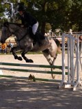 DSC08184 DSC08184