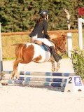 DSC00191