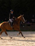 DSC00286