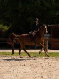 DSC00661