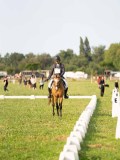 DSC04020