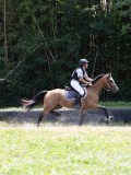 IMG_4981