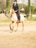 DSC04944 DSC04944