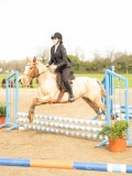 DSC04946 DSC04946