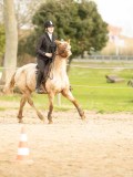 DSC04950 DSC04950