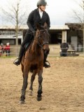 DSC05774 DSC05774