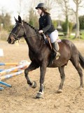 DSC04780 DSC04780